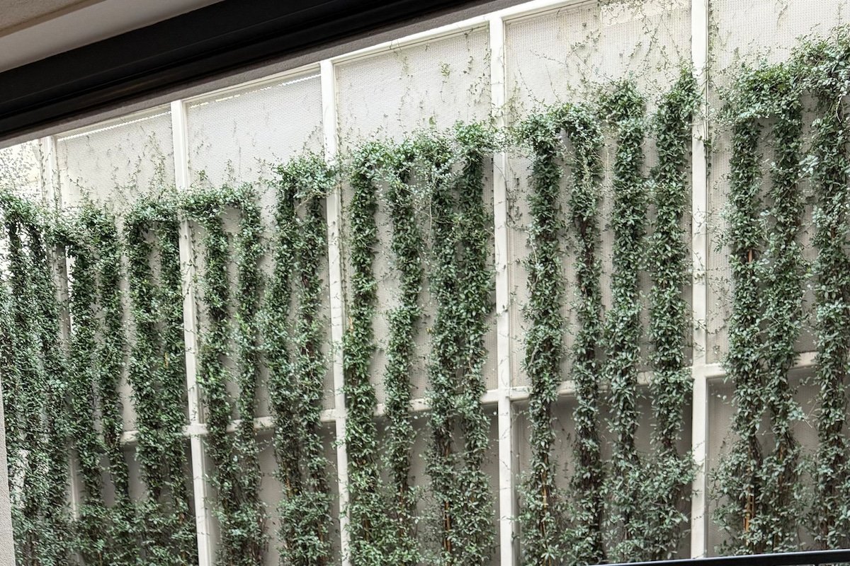 Ando’s Boutique Garden gallery image 2