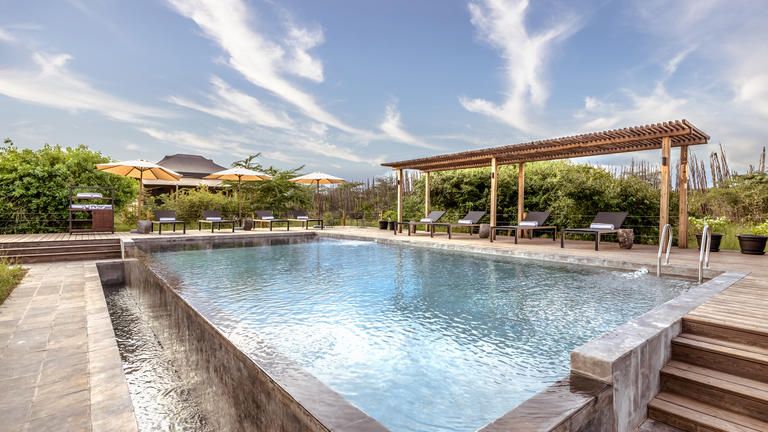 Poolside relaxation - Experience luxury in the wild with serene poolside views for an unforgettable adventure and relaxation
