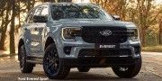 FORD EVEREST 3.0D V6 PLATINUM AWD A/T - 13 thumb