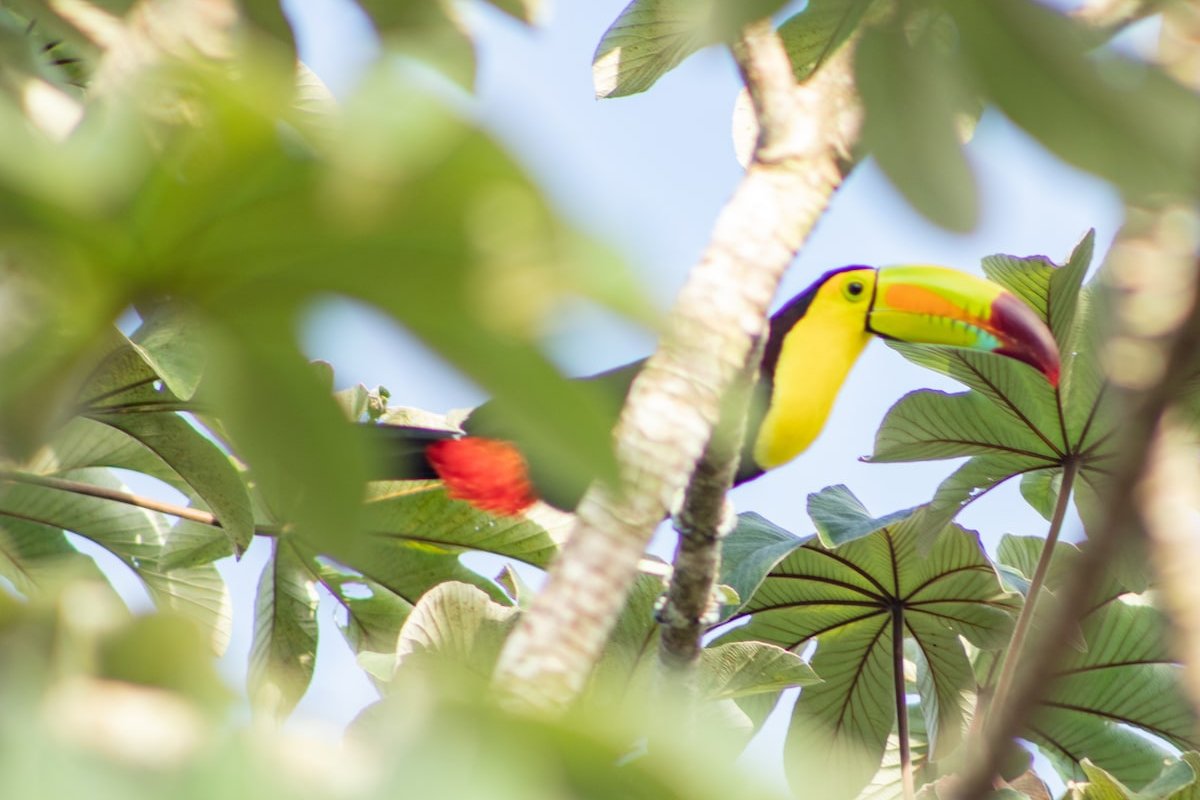 Luxury Private Villa with pool on hilltop gallery image 5