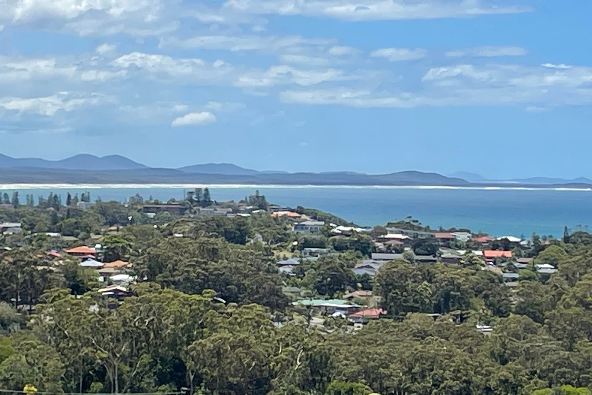 Whale watch from huge relaxing deck