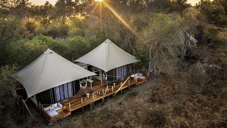 African Bush Camps Khwai Lediba Family Tented Suite