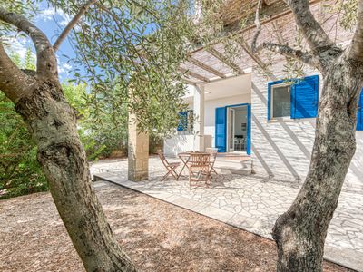 L’ulivo di Novaglie