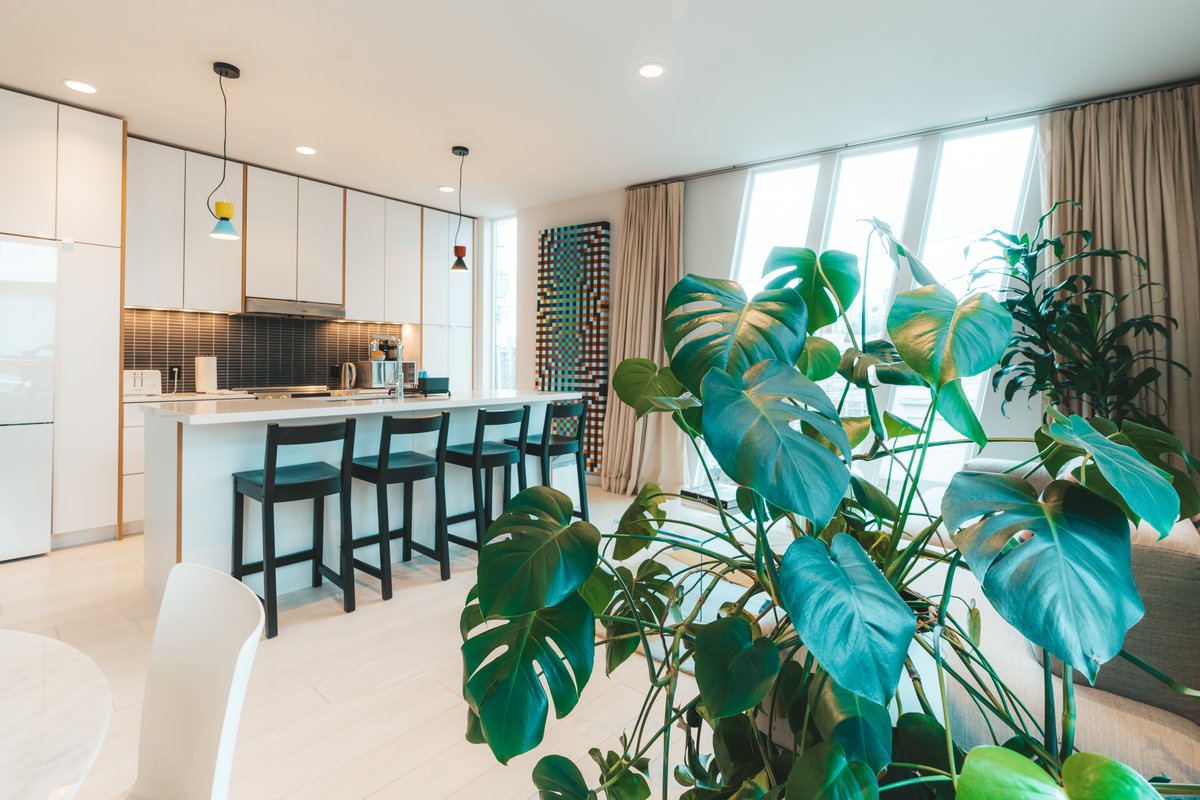 Modern Cap Hill 2BR Townhome w/Parking for 2+Roof