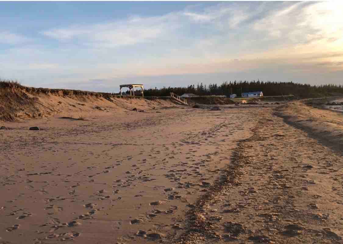 Beachfront Country Cottage Getaway gallery image 5