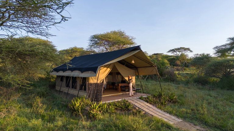 Serengeti Woodlands Camp Double/ Single Luxury Tent