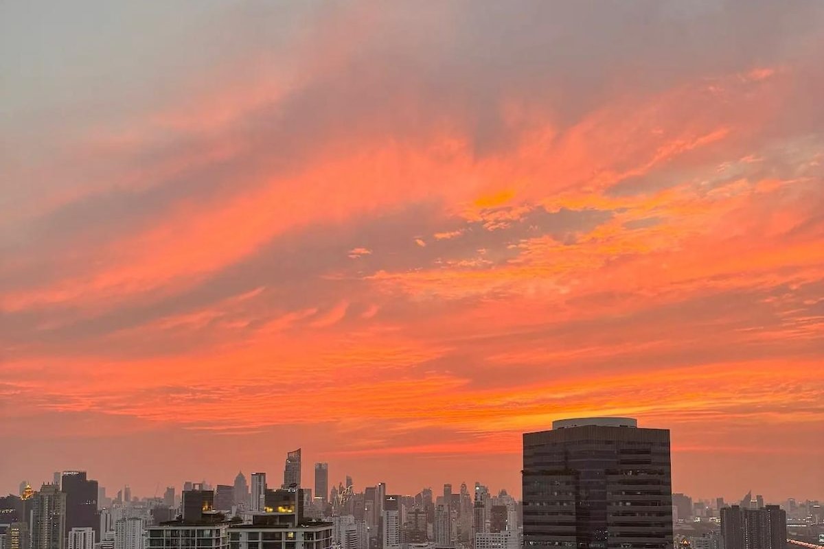 hello gallery image 4