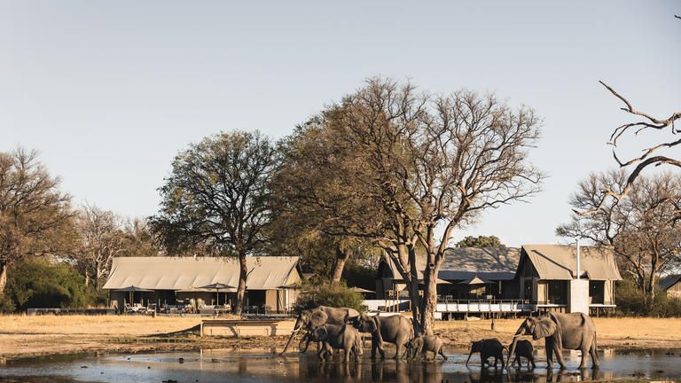 Wilderness Linkwasha - Camp exterior view.