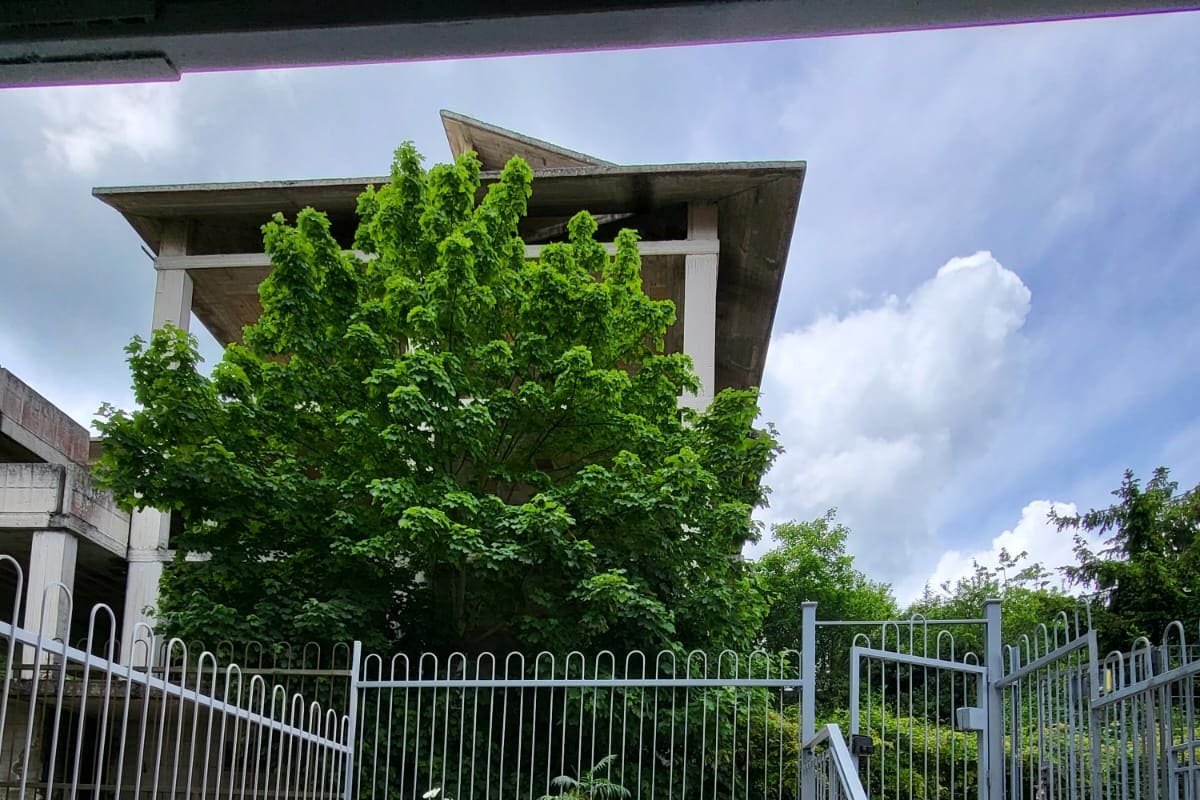 [Top della Puglia] – Aria Fresca Faetana gallery image 4