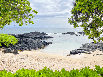 Seaside Cottage – The beach is your front yard!