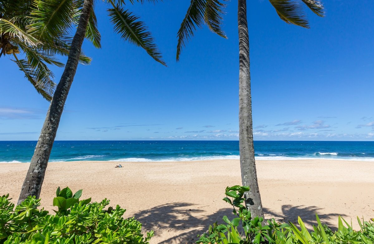 Absolute Beach front home @ Log Cabins Surf break gallery image 2