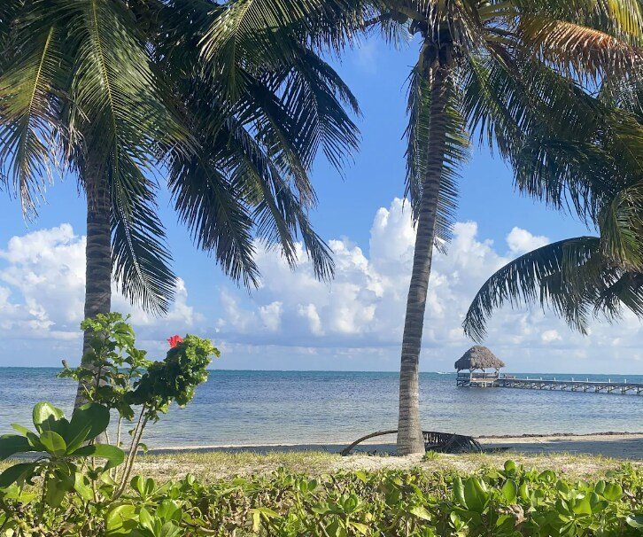 5 BR Beachfront Luxury Holiday Home w/ Pool / Pier gallery image 4