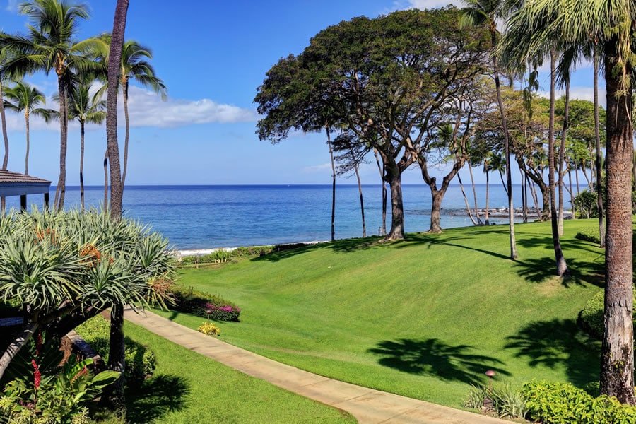 Excellent Amenities- Ocean Views-Wailea Elua #1204 gallery image 2