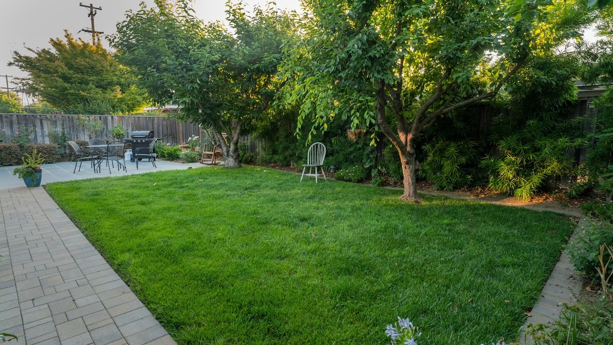 Luxury Modern Spacious House With A Piano gallery image 5