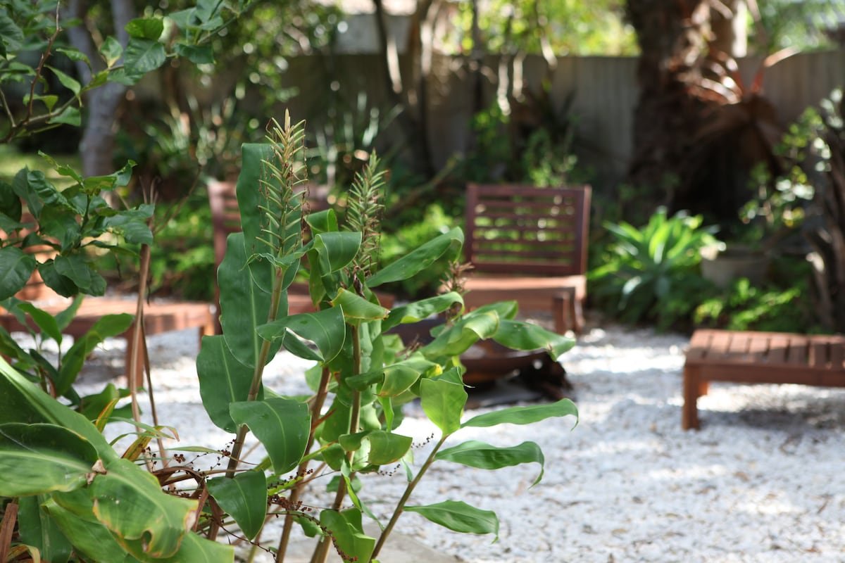 Lilly Pilly House, Bundeena gallery image 5