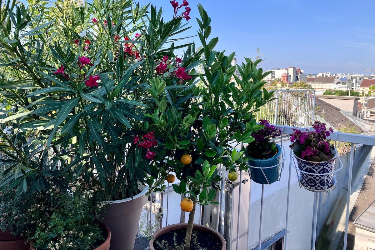 Rooftop OASIS in the heart of Vienna gallery image 5