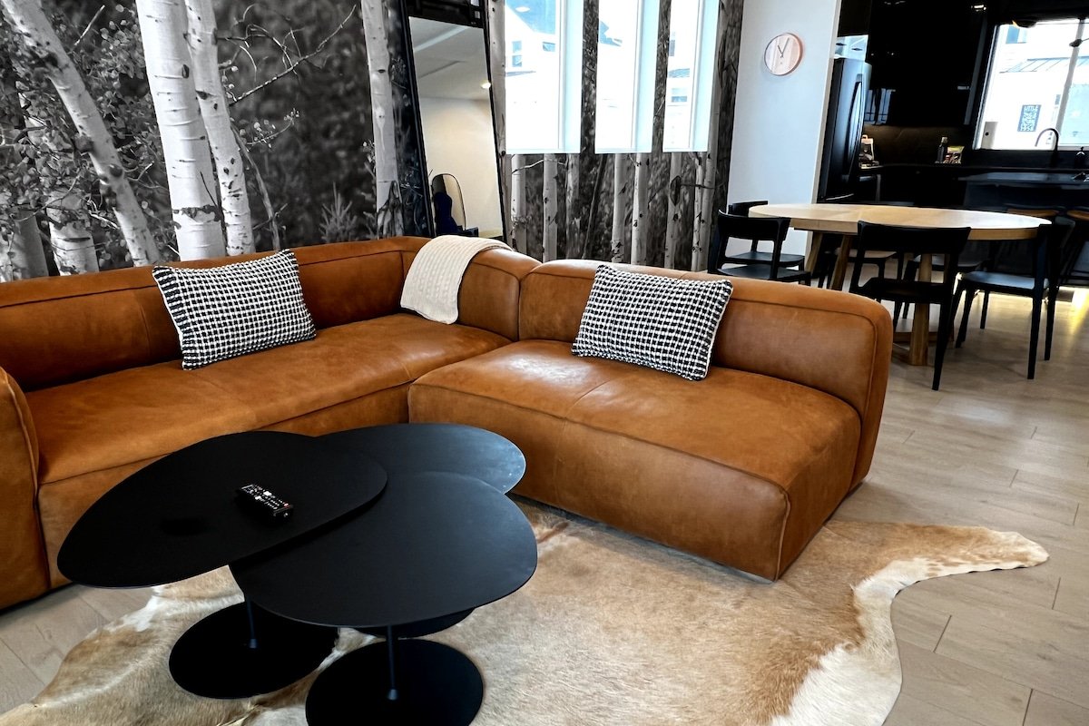 Modern Lux Cottage, Mtn Views, Close to Downtown gallery image 3