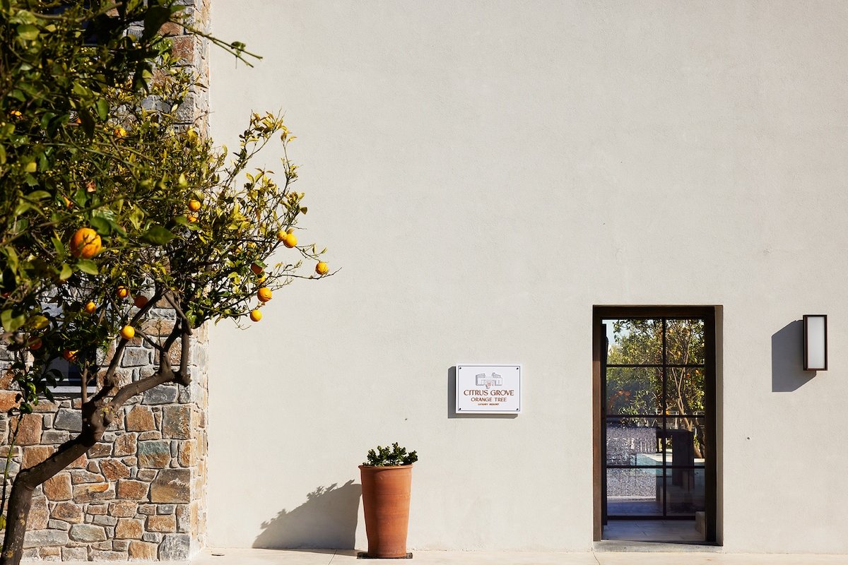 Citrus Grove – Orange Tree Villa gallery image 5