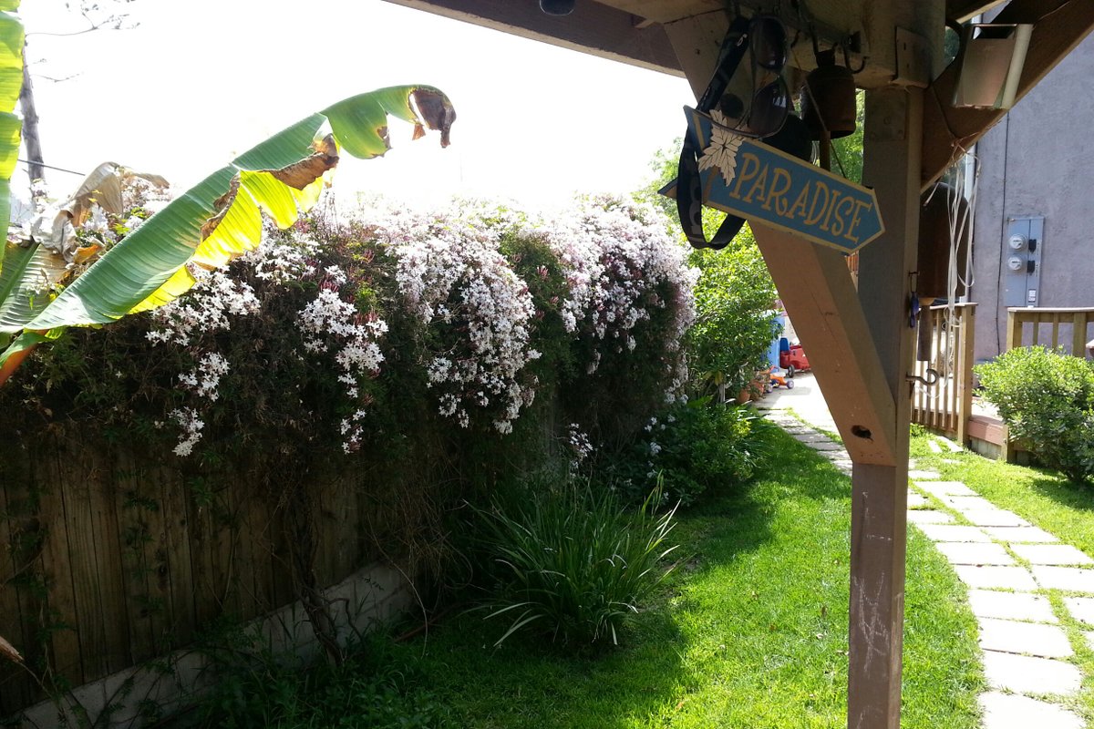 Culver City/LA Family Paradise!