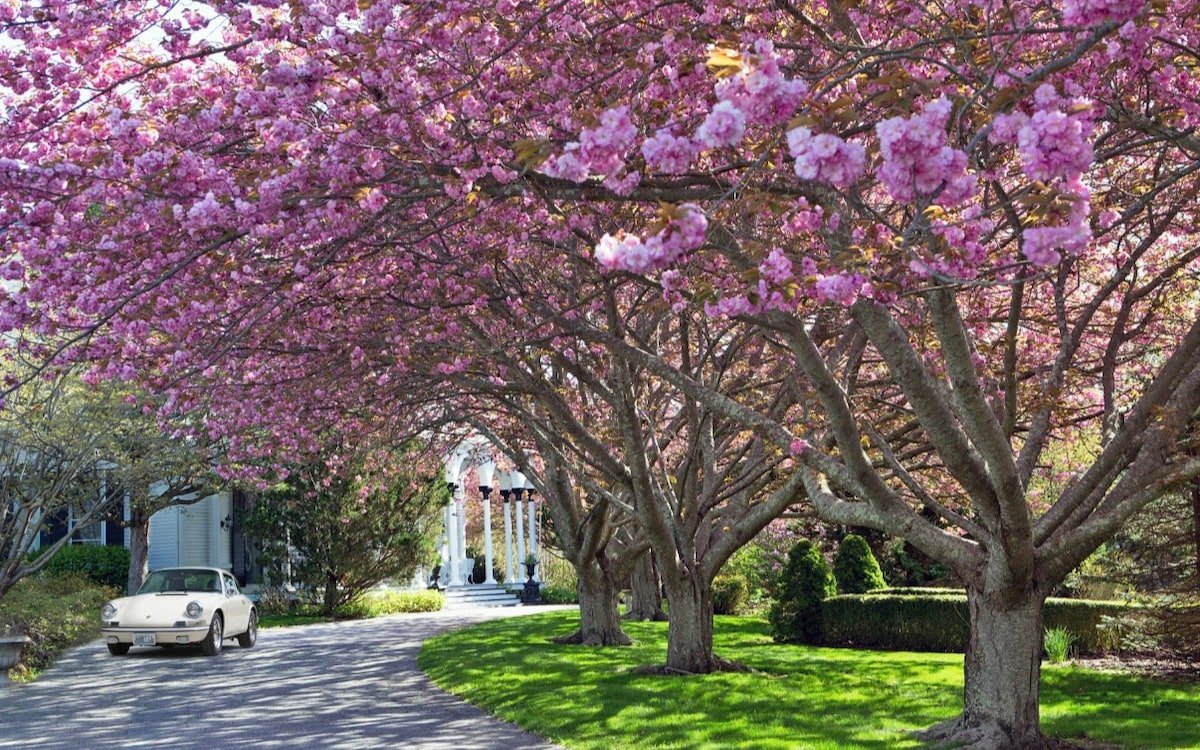 Villa 120 – The Historic Hamilton Hoppin Estate gallery image 4