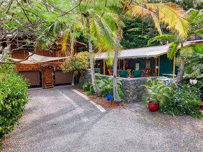 The Salty Jungle Kona