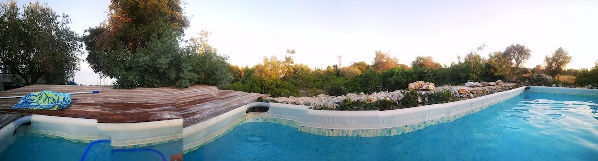 Villette a Marina Serra, tra Ulivi e mare gallery image 2