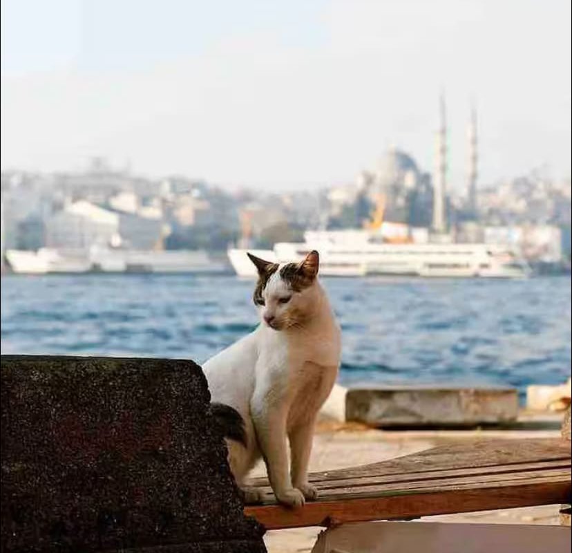 Chic &Modern 2BR .AC.@Taksim sq gallery image 5