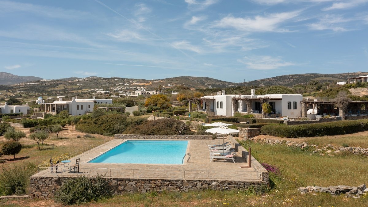 Blue Coral 2 gallery image 2