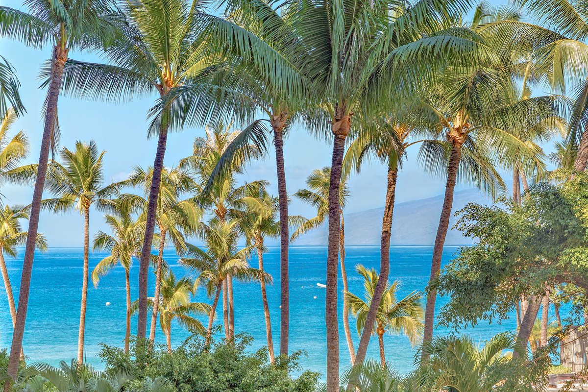 MRR Presents Kaanapali Ali’i 242