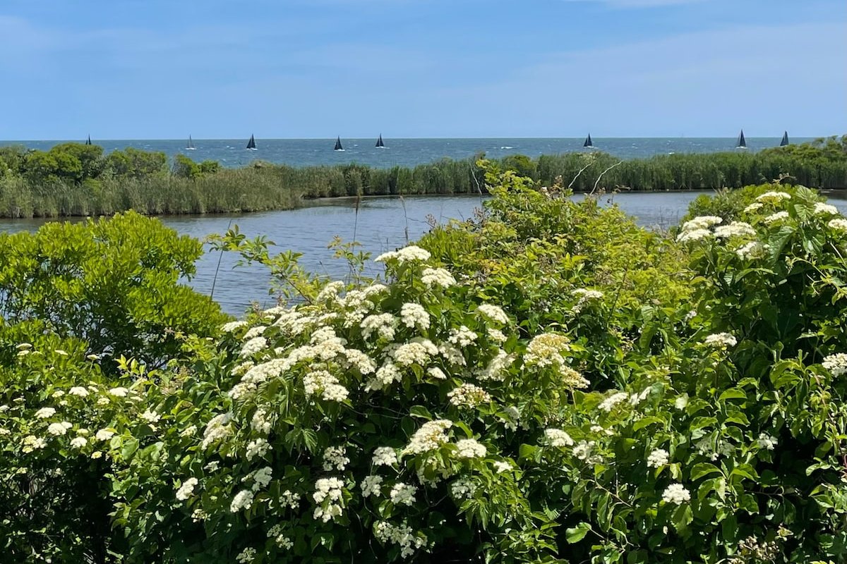 Sea Breeze Inlet Cottage, 3 Room Suite gallery image 2