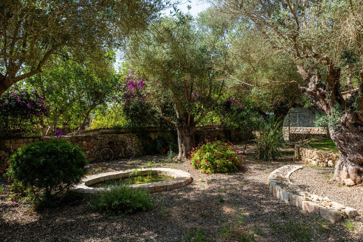 Son Moix gallery image 4