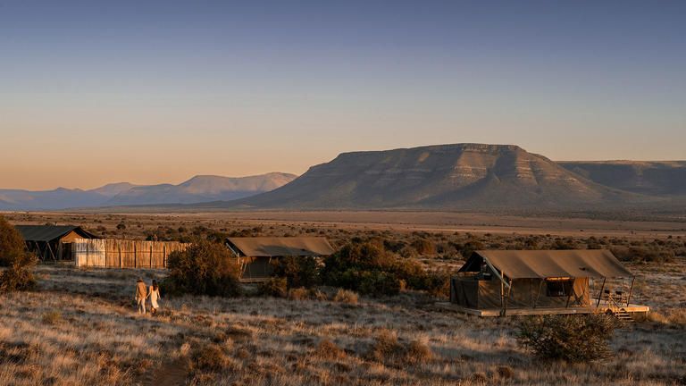 Plains Camp panorama - A sweeping panoramic view of Plains Camp, where open grasslands stretch to the horizon, dotted with wildlife and framed by the vast African sky.