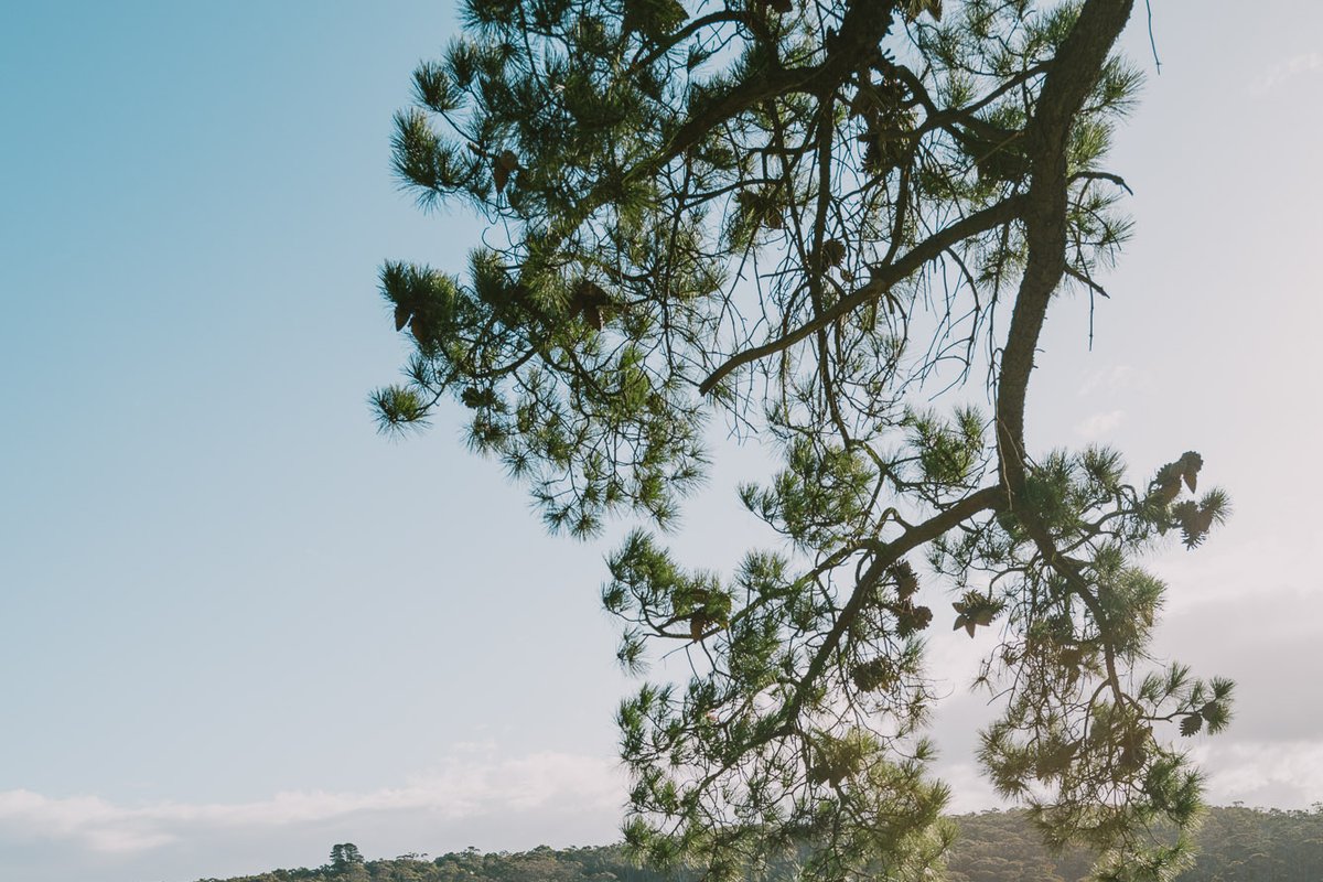 Escapes Top Pick – Group Getaway for the Year