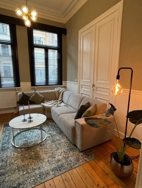 Huis Van Hoorne, gerenoveerd herenhuis op het Zuid gallery image 2