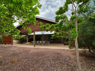 Popeye’s Patch Pet Friendly