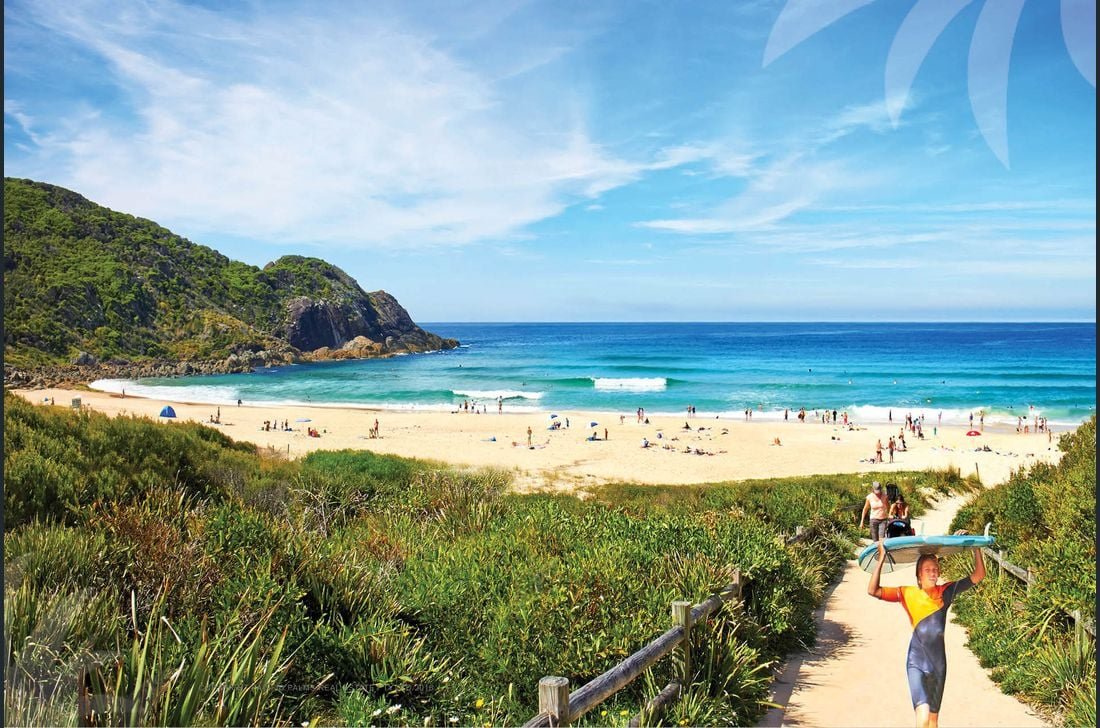 Little Plett gallery image 2