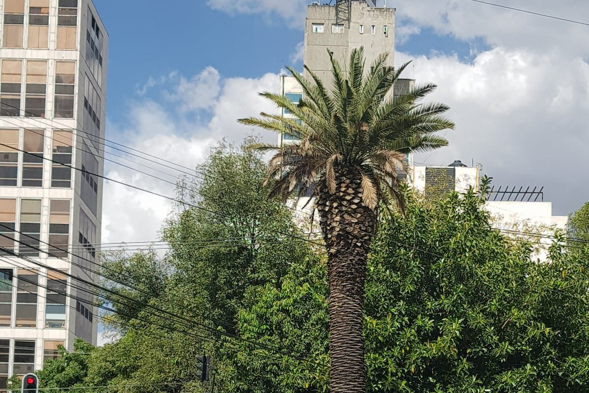 Great House at amazing location! 14 guests/5 rooms gallery image 4