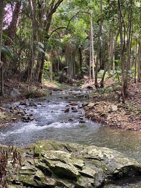 Sacres Acres gallery image 3