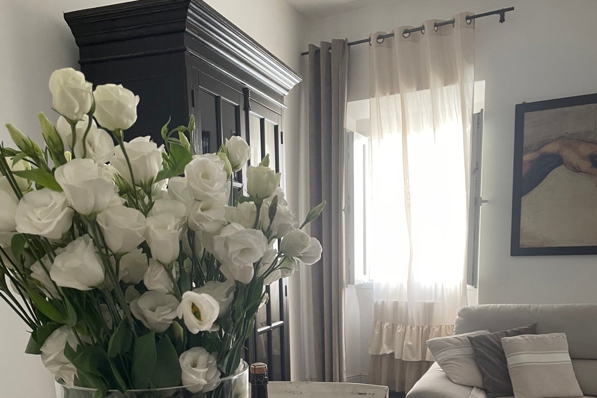 Appartamento Luxury Navona