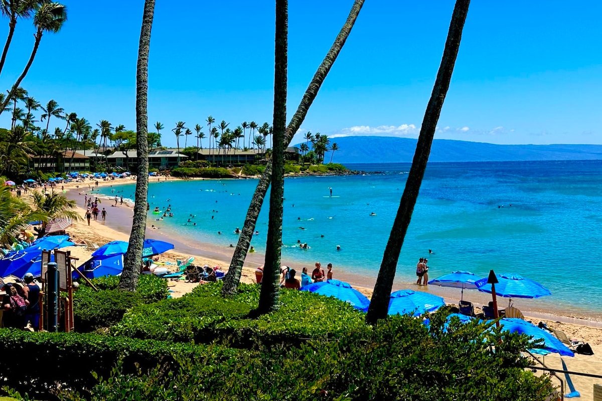 Experience Tropical Paradise at Napili Bay gallery image 2
