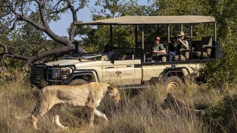 Lepogo Lodges Activities - 4x4 Safaris with experienced guides; Bush walks and animal tracking; Water safaris; Conservation vet experiences; Visits to the Iron Age site; Khoi-San Rock Art; Sleeping under the African sky; Yoga and spa treatments; Visits to the Wilderness School; Astronomy; Fishing