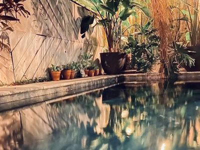 Dragonfly Treme-Heart of New Orleans-Winter Sale