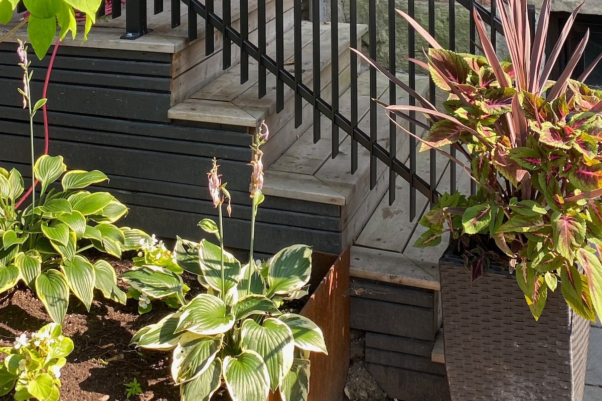 Kensington Market Heritage Town House w City Views gallery image 4