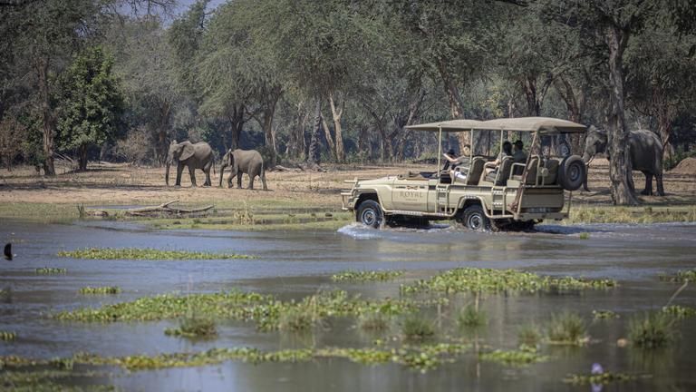 Safari Game Drive