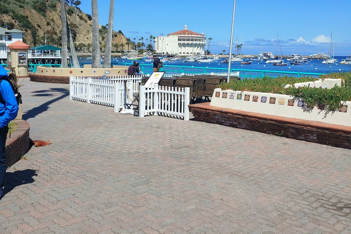 Catalina Island Mid Century Modern Home gallery image 2