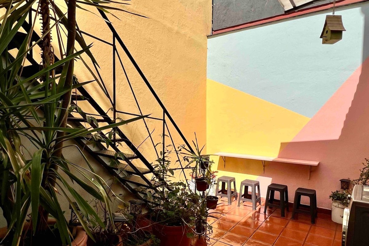 Remodeled Historic House near Reforma and El Angel gallery image 3