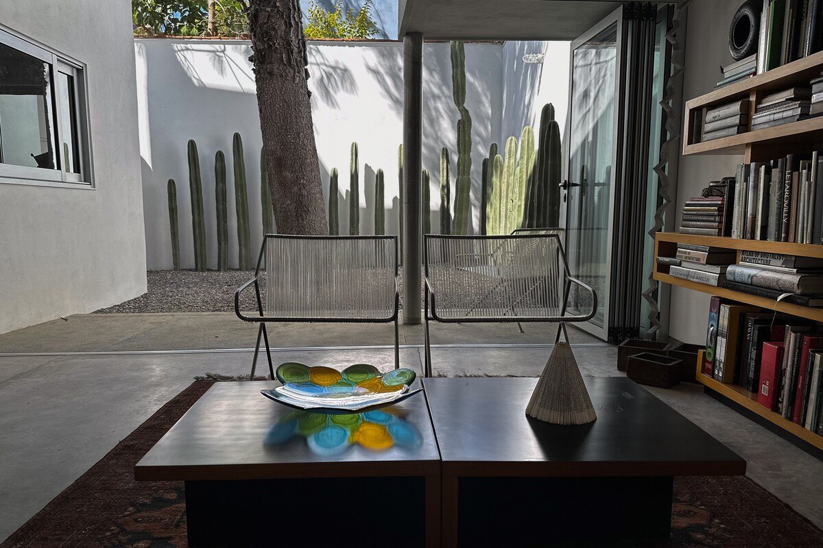 Cactus Coyoacán gallery image 2