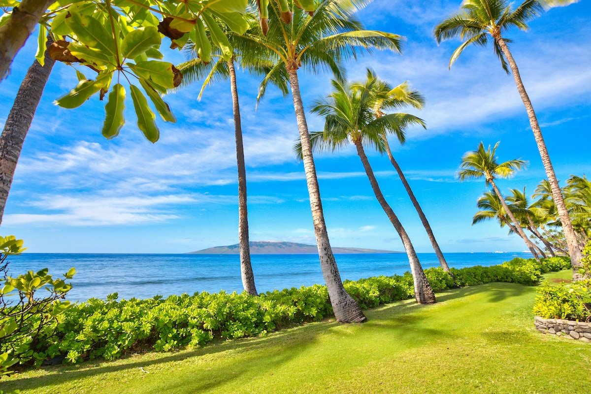 Puamana Resort #192-2 gallery image 2