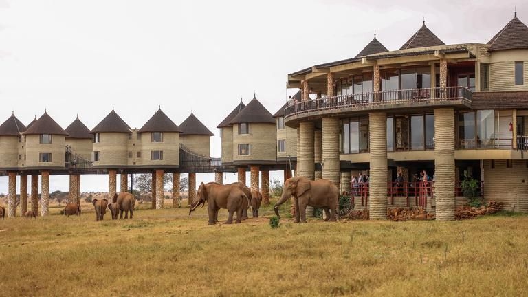 Salt Lick Safari Lodge photo