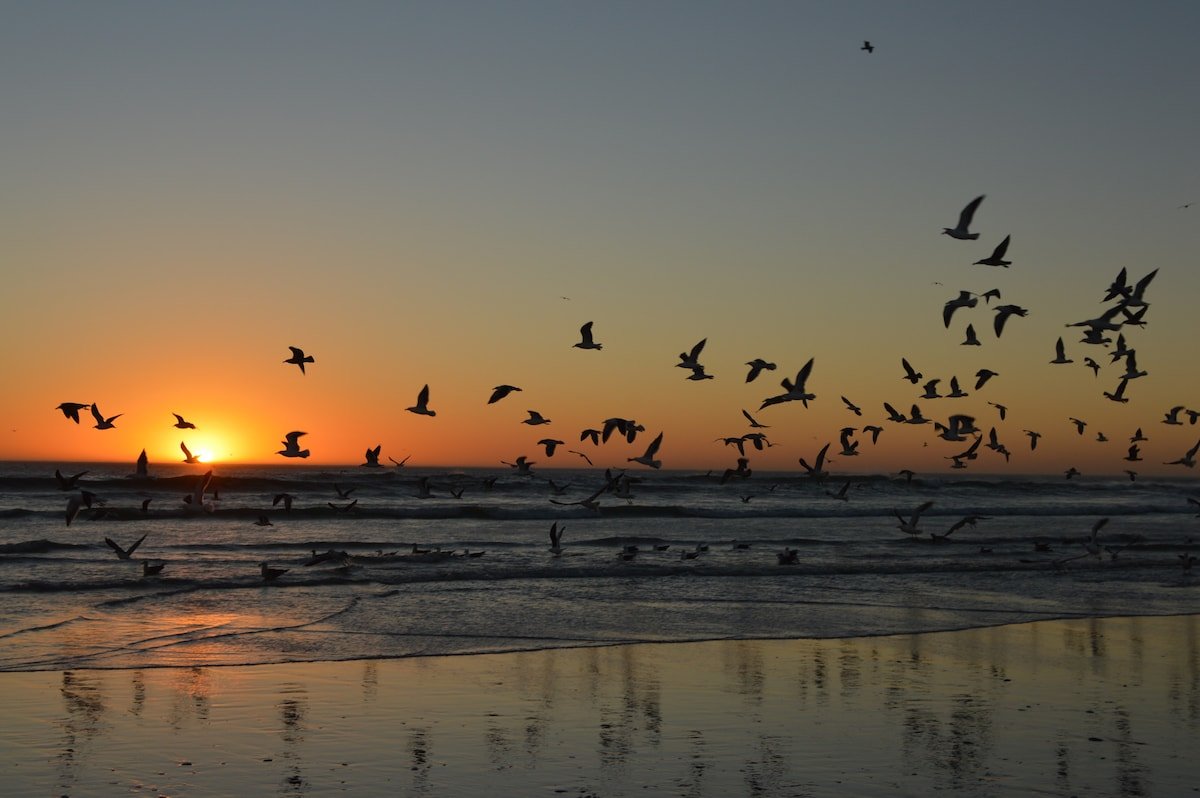 Atlantic Holiday at the beach gallery image 3